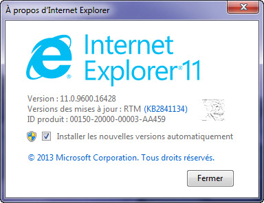 internet explorer 11 for windows 11